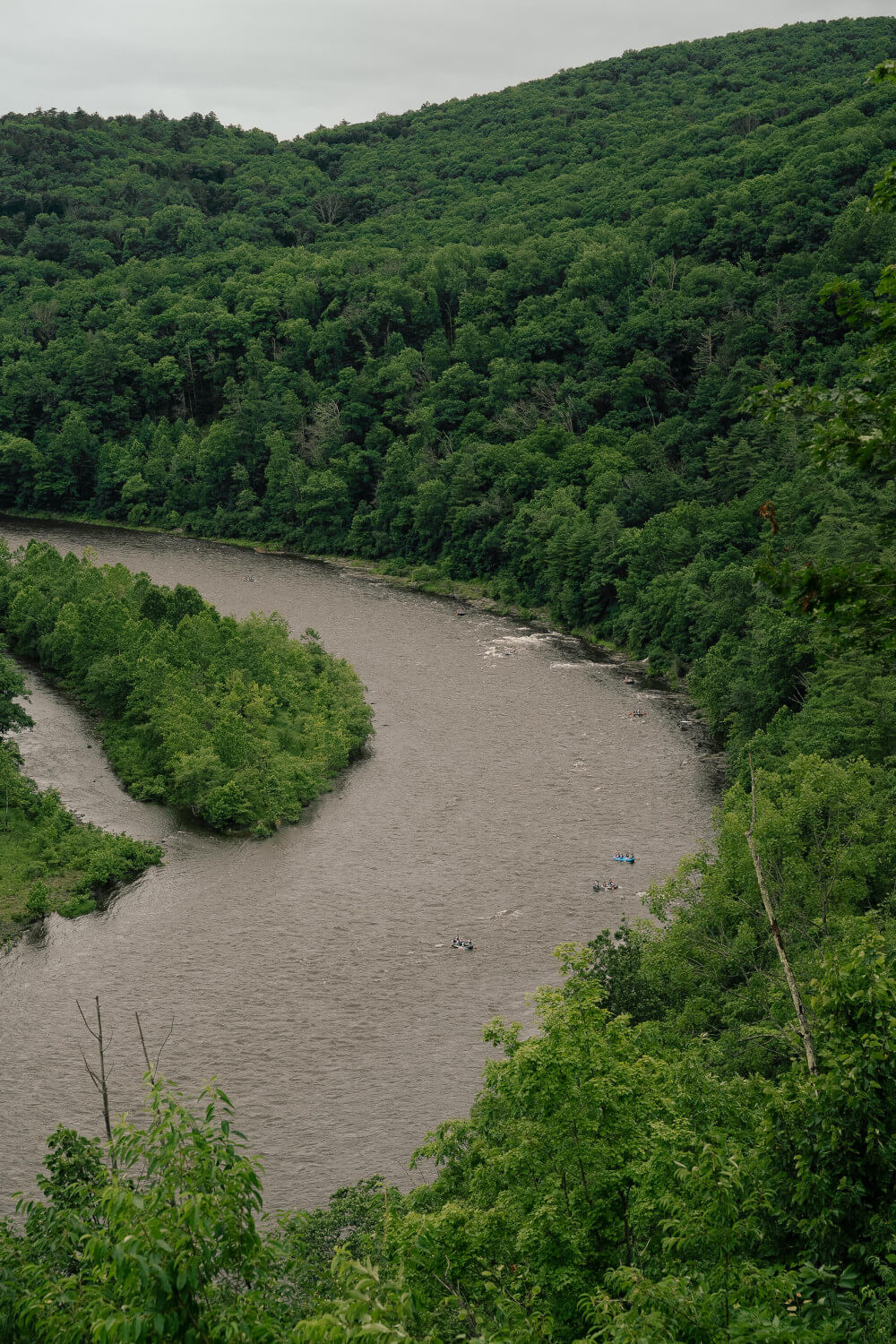 MGP-103.jpg
