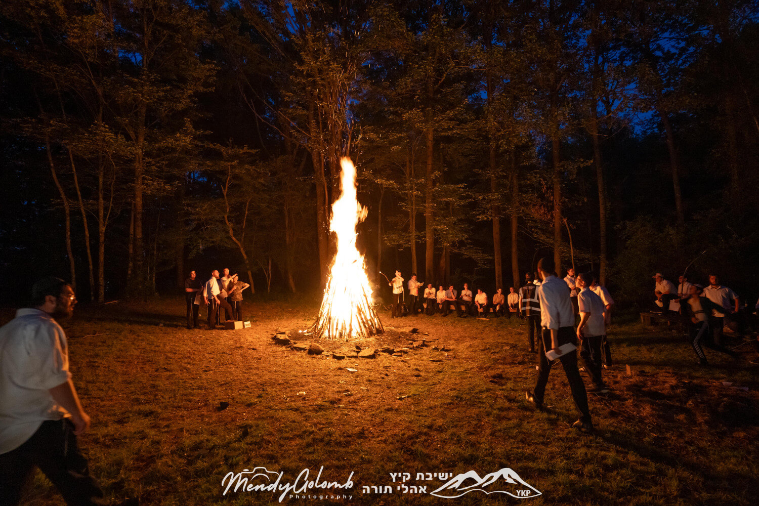 Bonfire