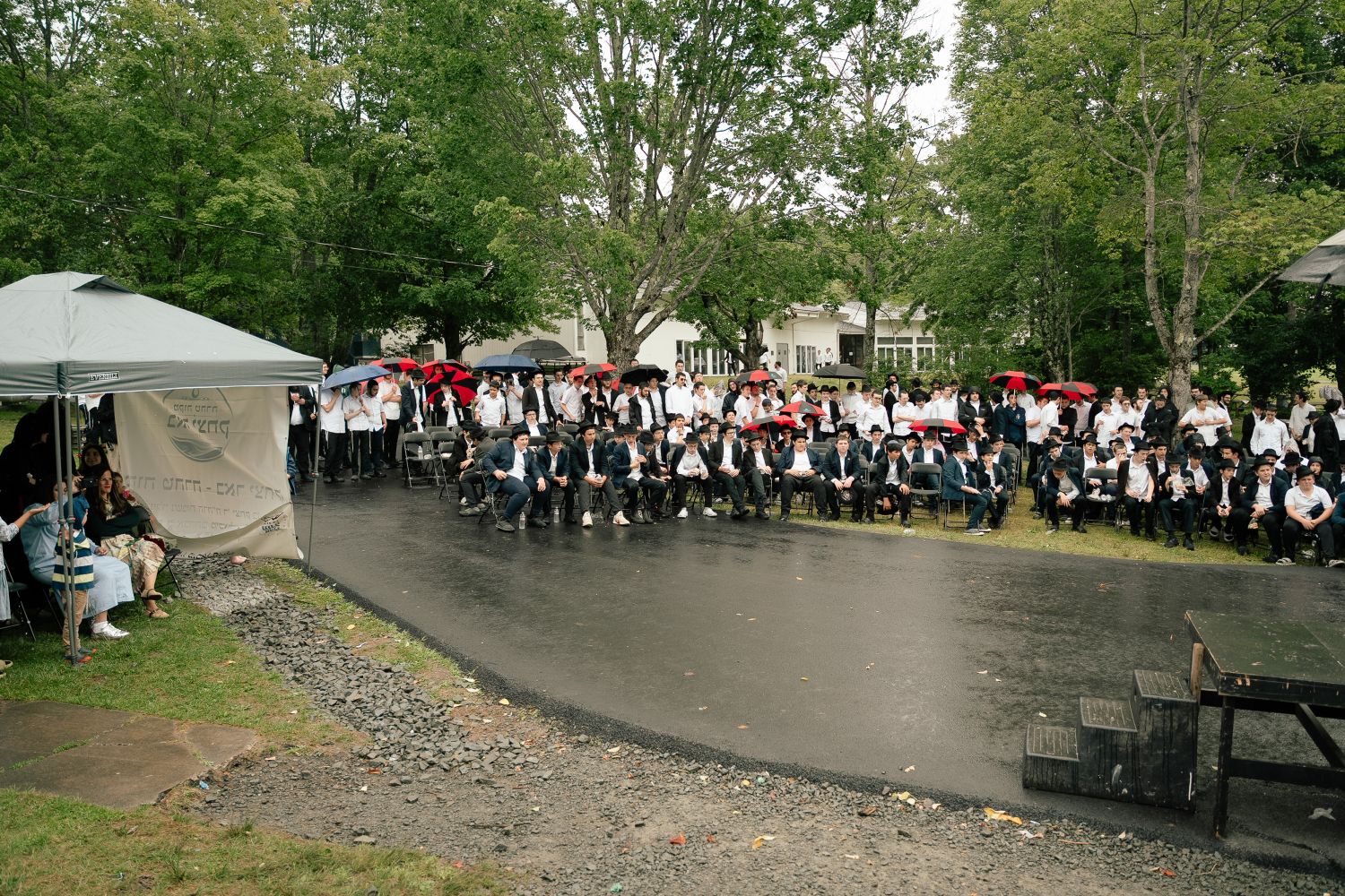 MGP-33.jpg